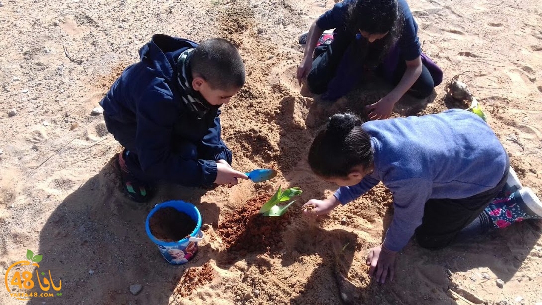 zr3 7san 3arafa (30).jpg